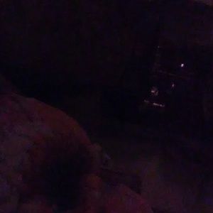 Meet your Posher, Iris